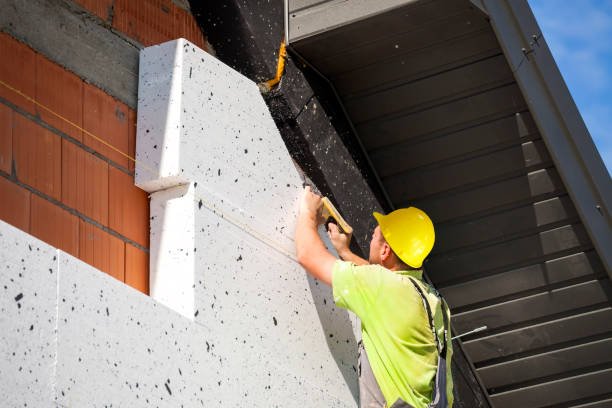External Wall Insulation (EWI)